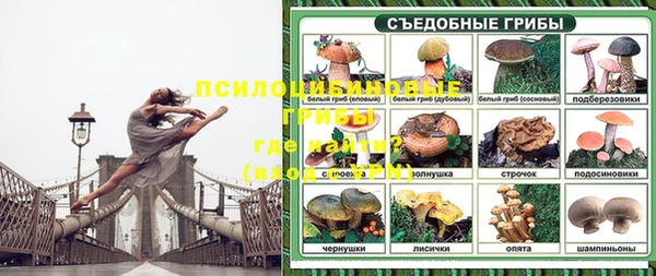 mix Алексин