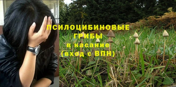 mix Алексин